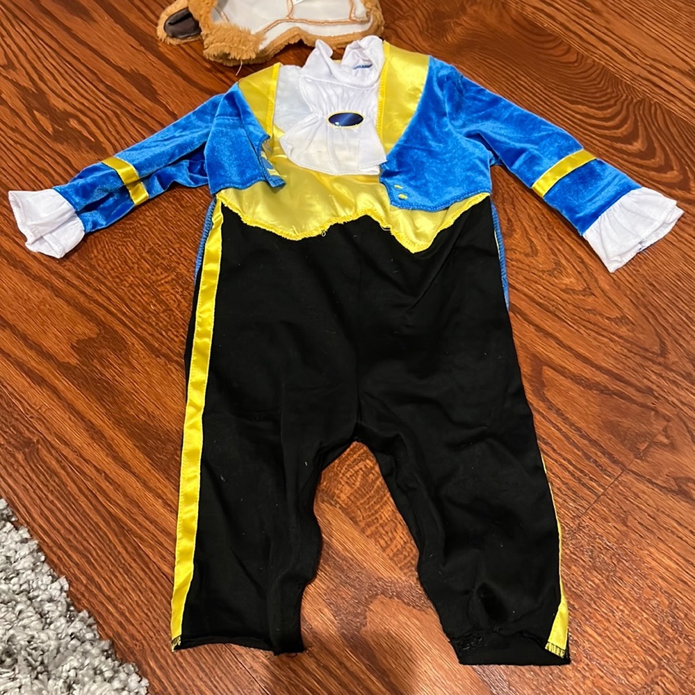 Beast costume from beauty and the beast